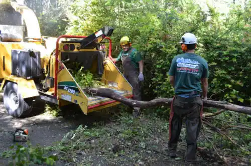 tree services Abingdon